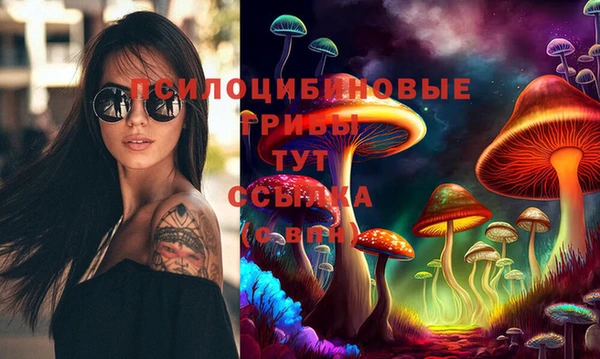 таблы Алексин