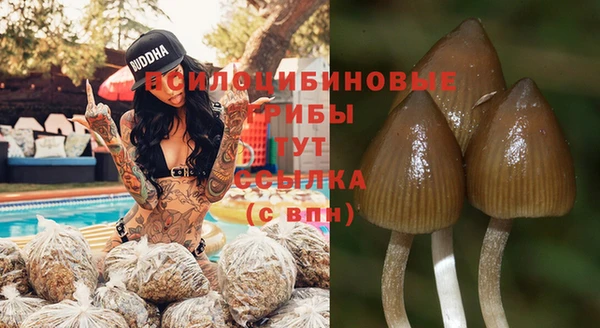 мяу мяу кристалл Алзамай