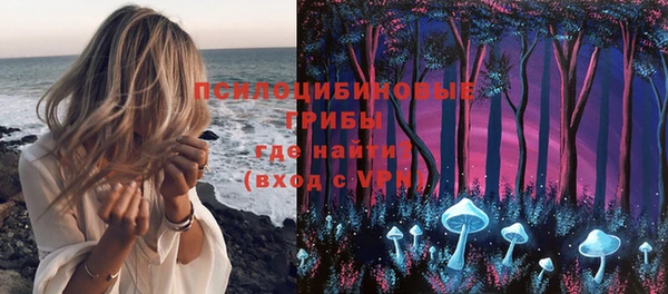 PSILOCYBIN Алексеевка