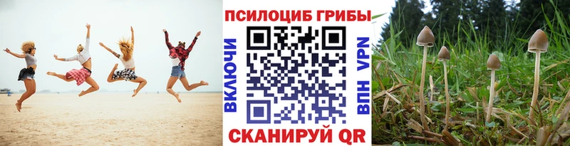 Псилоцибиновые грибы MAGIC MUSHROOMS  Нерехта 